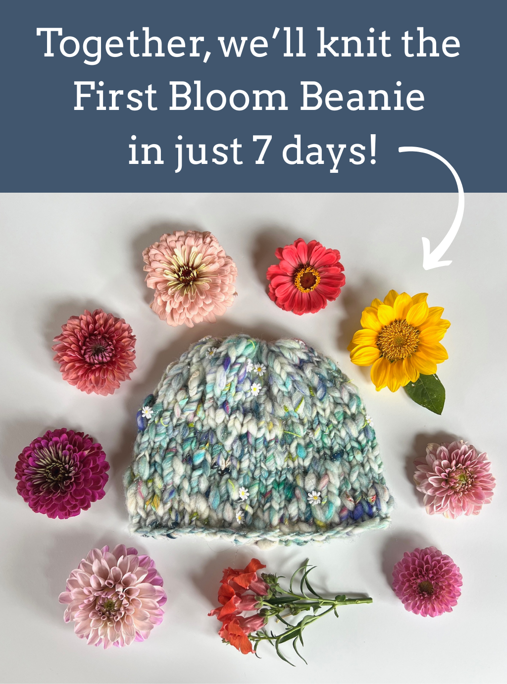 Learn to Knit Coaching Week ~ If you're starting from zero, start here!