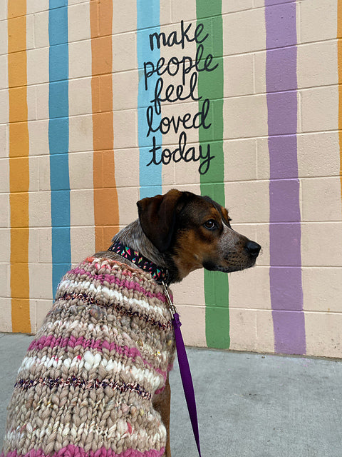 Kaleidoscope Pet Sweater Pattern
