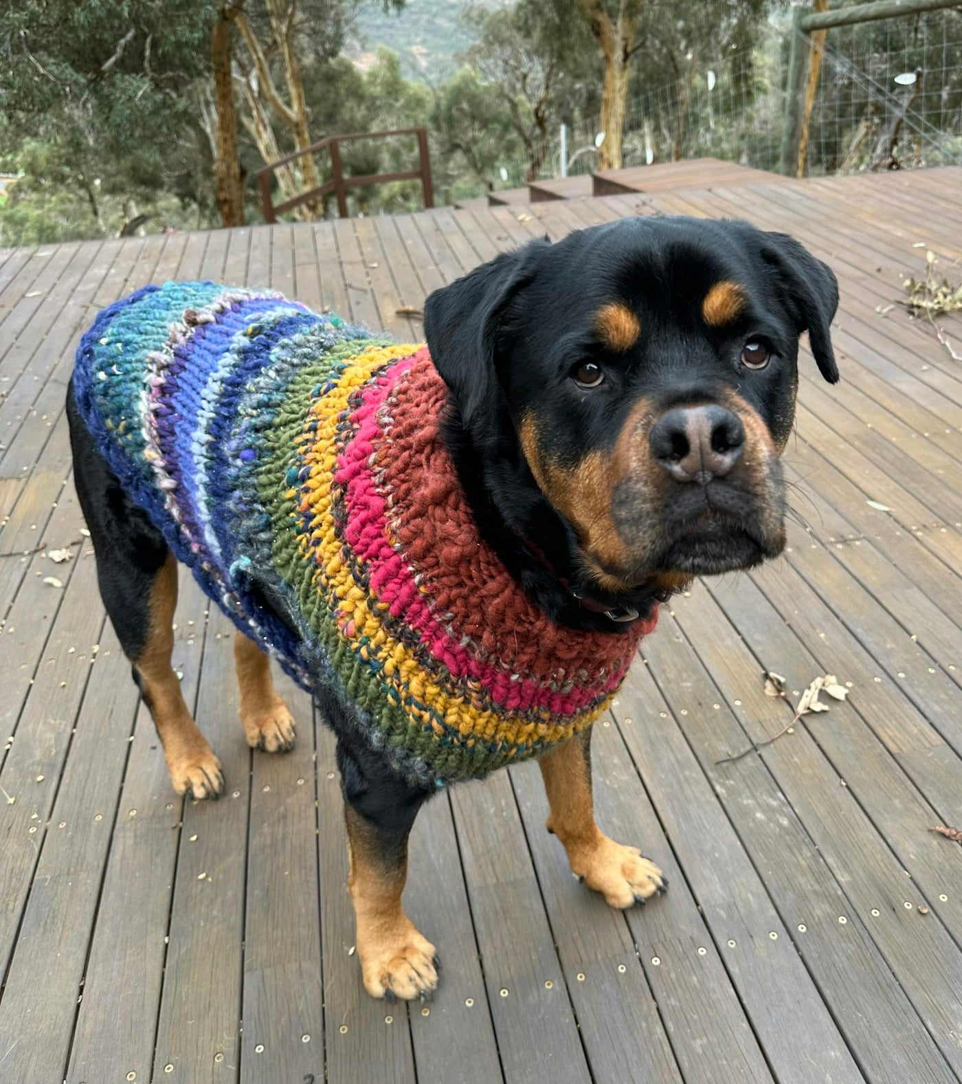 Kaleidoscope Pet Sweater Pattern