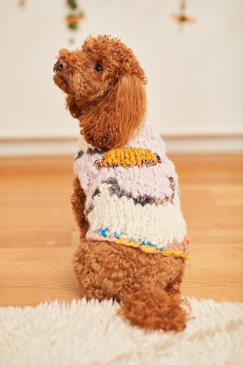 Flower Power Pet Sweater Kit