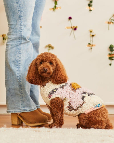 Flower Power Pet Sweater Kit