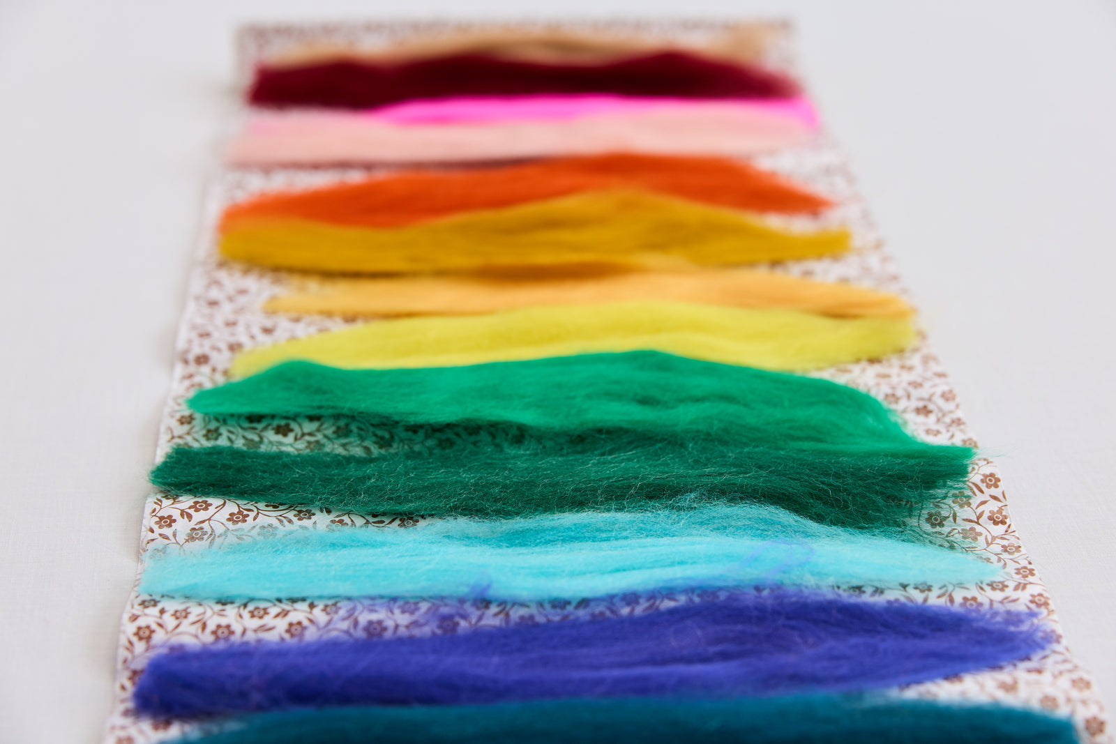 Needle Felting Kit