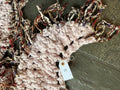 Tambourine Wrap ~ Lavender Dust / Blush Happy Sample 11